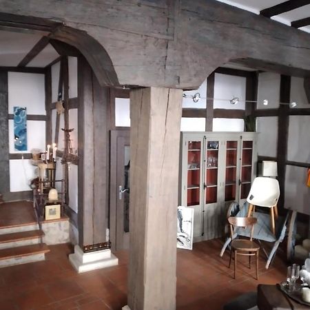 エアフルトHistorische Raume Uber Mittelaltergewolbe Mit Terrasseアパートメント エクステリア 写真