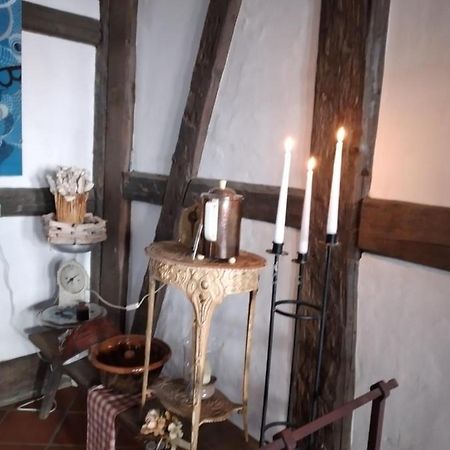 エアフルトHistorische Raume Uber Mittelaltergewolbe Mit Terrasseアパートメント エクステリア 写真