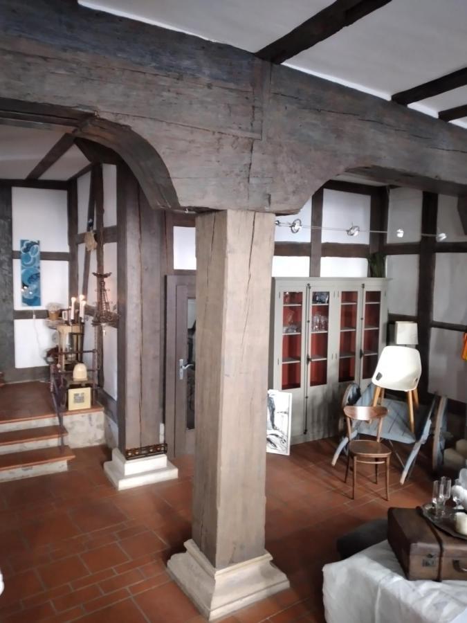 エアフルトHistorische Raume Uber Mittelaltergewolbe Mit Terrasseアパートメント エクステリア 写真